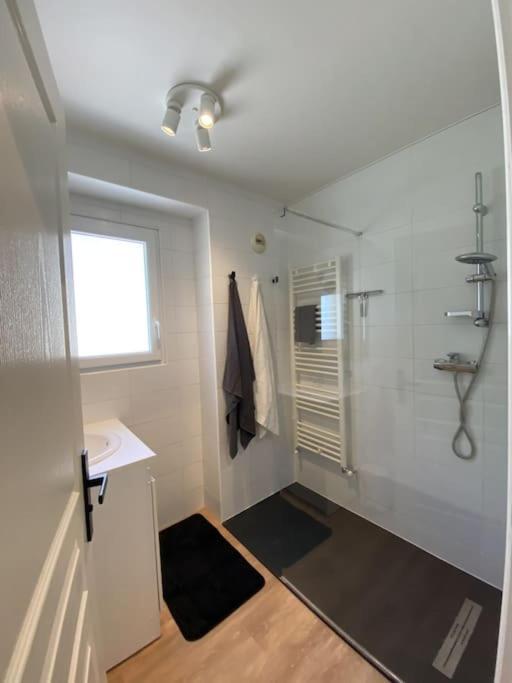 Magnifique Appart Renove Evian Duplex Vue Lac 8 Pers Kültér fotó